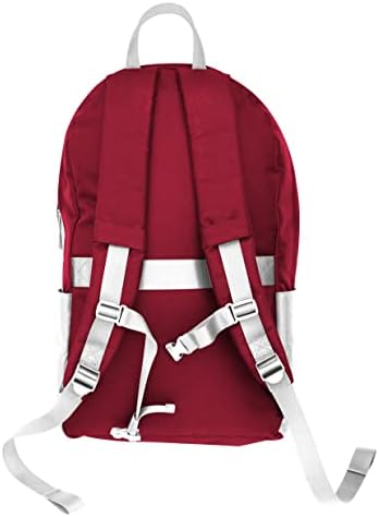 Jednostavan moderni službeno licencirani kolegijalni ruksak sa laptop rukavom, bojom tima, 20l