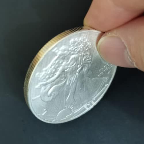 Američki novčići 2021 American Eagle Ocean Statue Silver Coins Commorativni kip sa liberskim novčićima Srebrnim